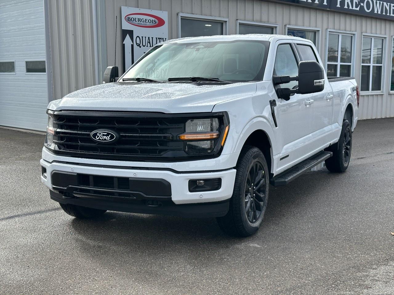 2025 Ford F-150 XLT 4WD SuperCrew 6.5' Box Photo