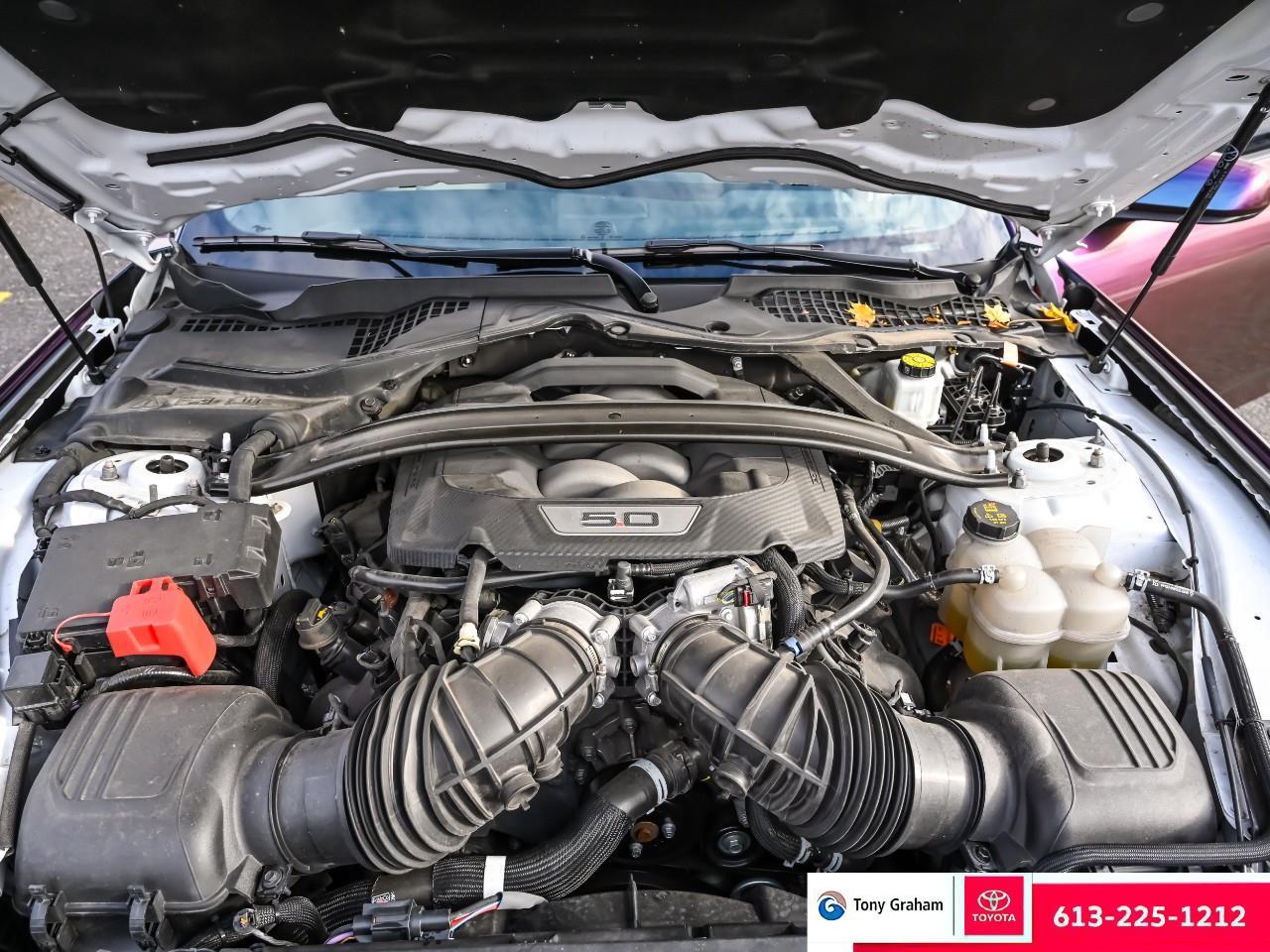 2024 Ford Mustang GT Premium Photo