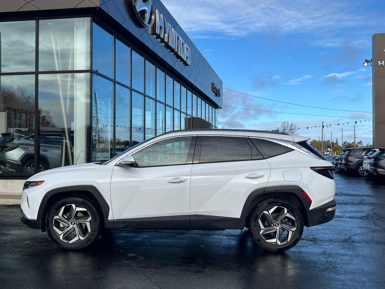 2024 Hyundai Tucson Hybrid Ultimate AWD Photo