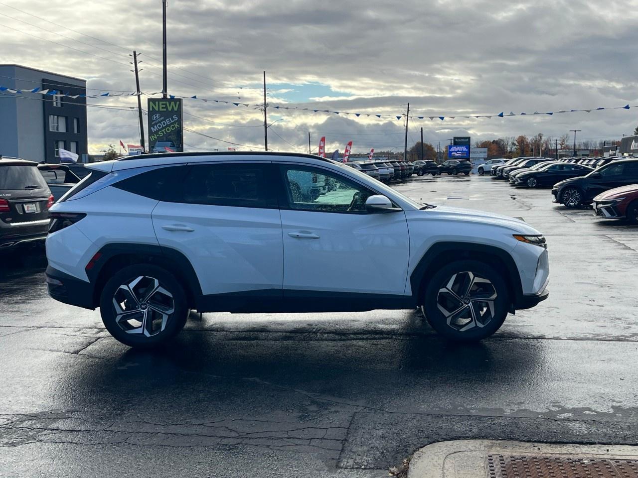 2024 Hyundai Tucson Hybrid Ultimate AWD Photo