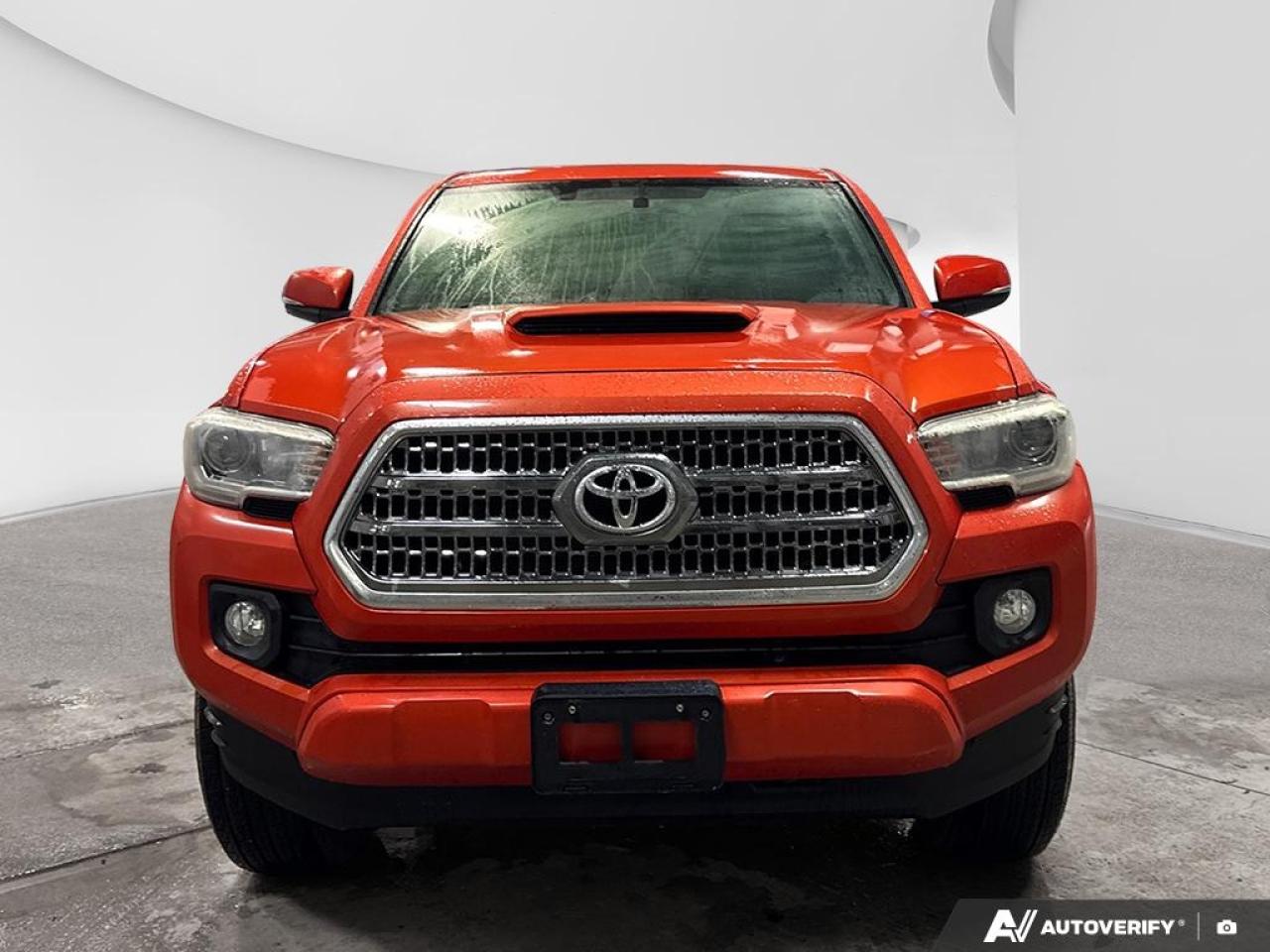 2017 Toyota Tacoma  Photo