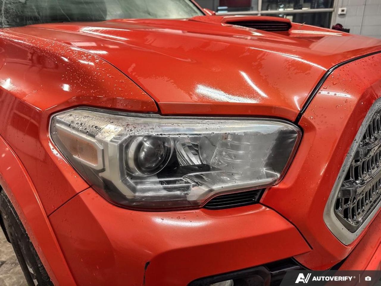 2017 Toyota Tacoma  Photo