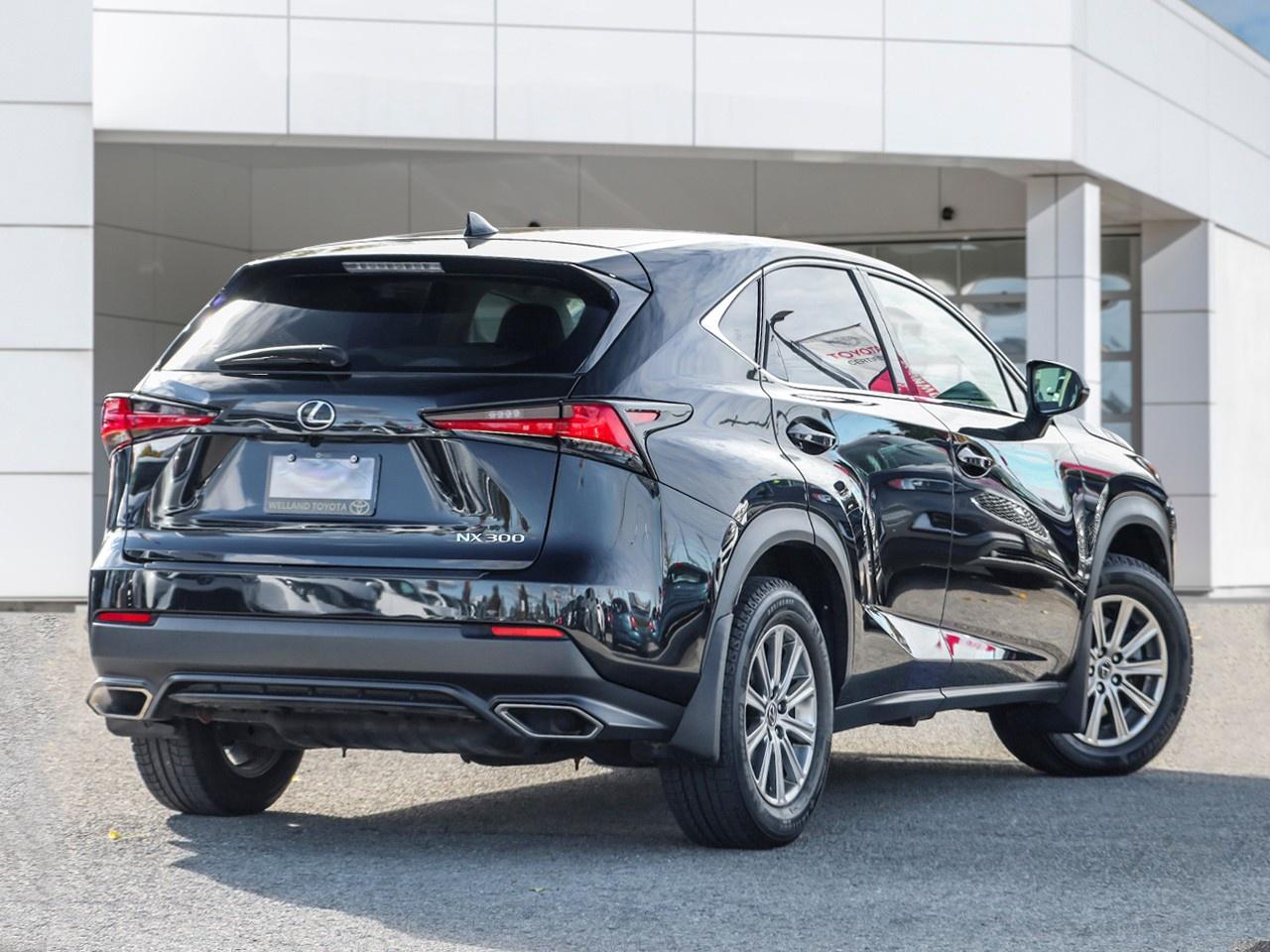 2019 Lexus NX 300 Photo