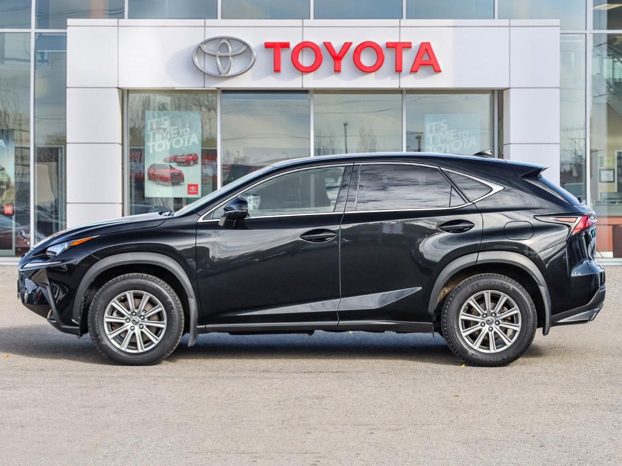 2019 Lexus NX 300 Photo