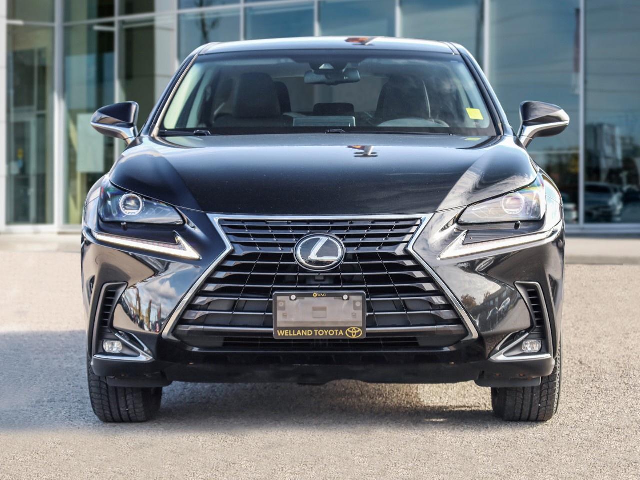 2019 Lexus NX 300 Photo