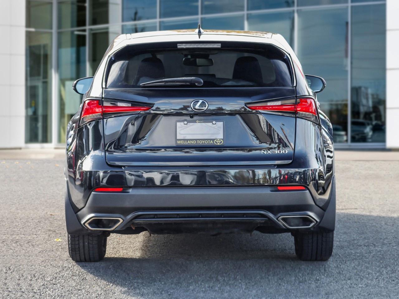 2019 Lexus NX 300 Photo