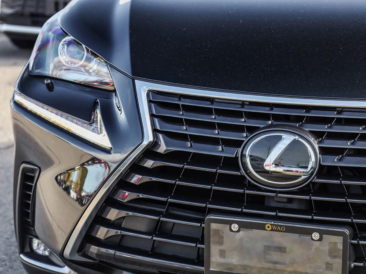 2019 Lexus NX 300 Photo