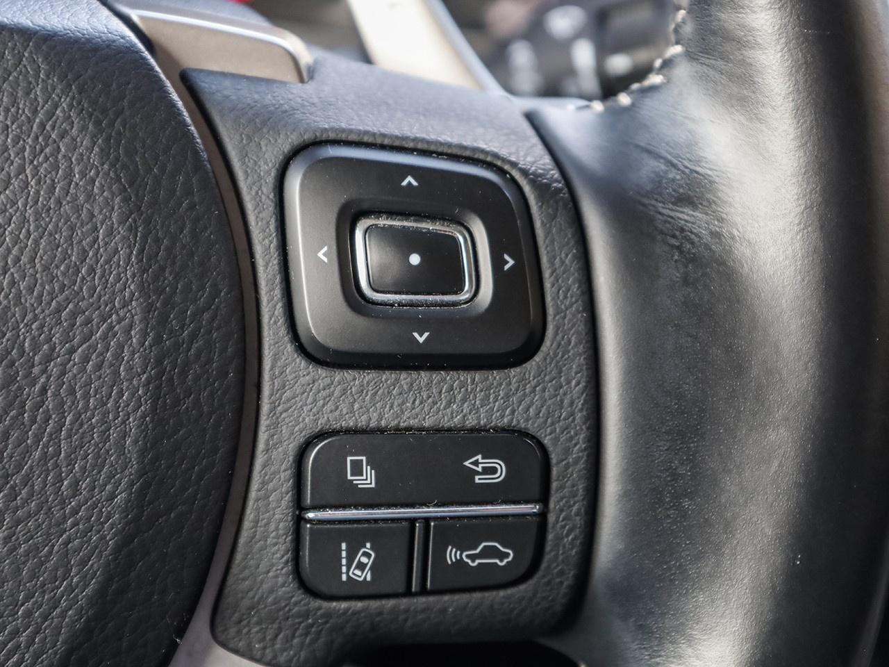 2019 Lexus NX 300 Photo