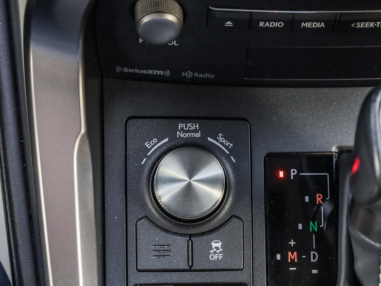 2019 Lexus NX 300 Photo