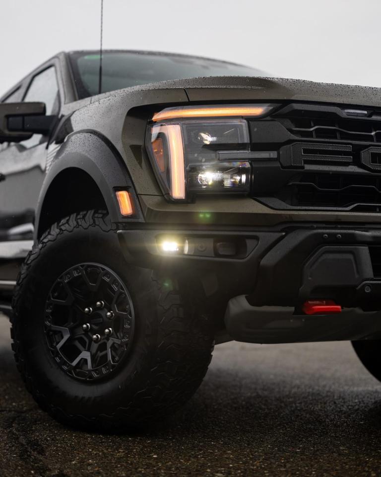 2025 Ford F-150 Raptor® Photo5