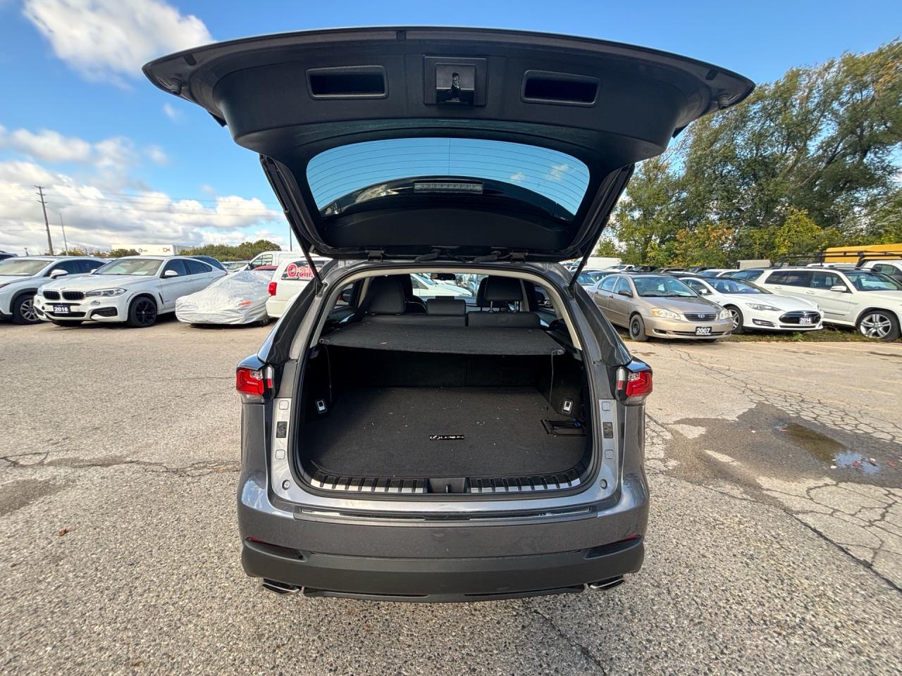 2017 Lexus NX 200t AWD 4DR Photo