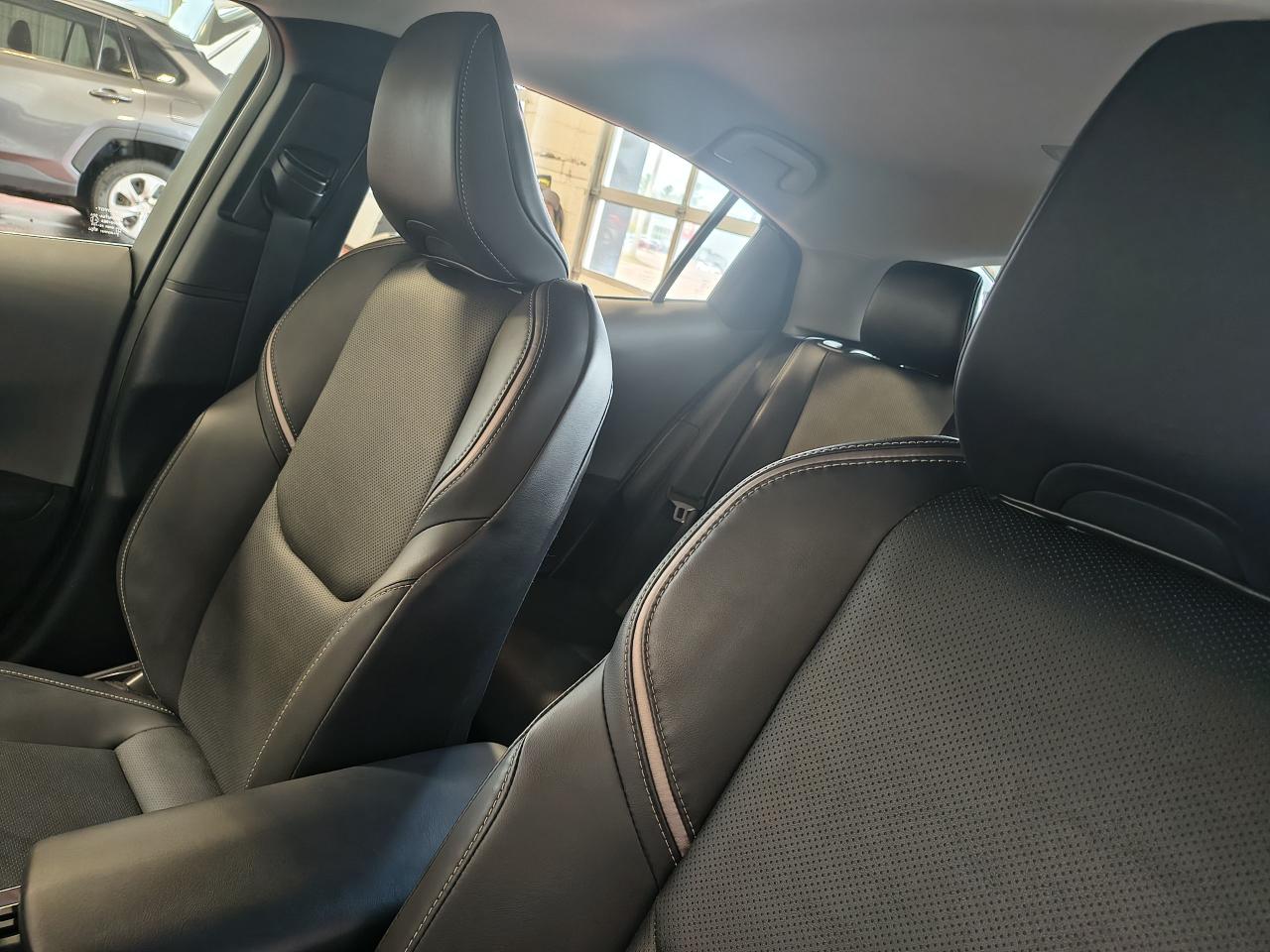 2023 Toyota Prius XLE AWD Photo0