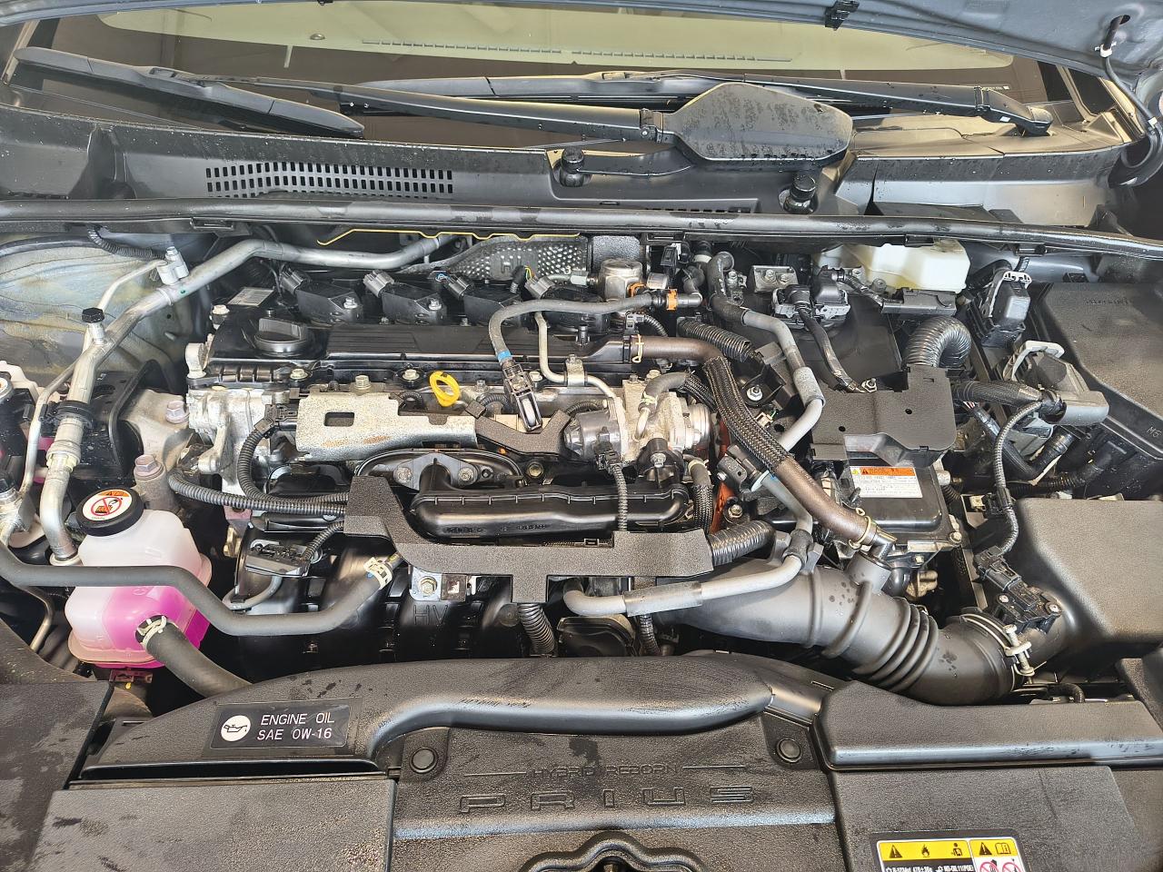 2023 Toyota Prius XLE AWD Photo0