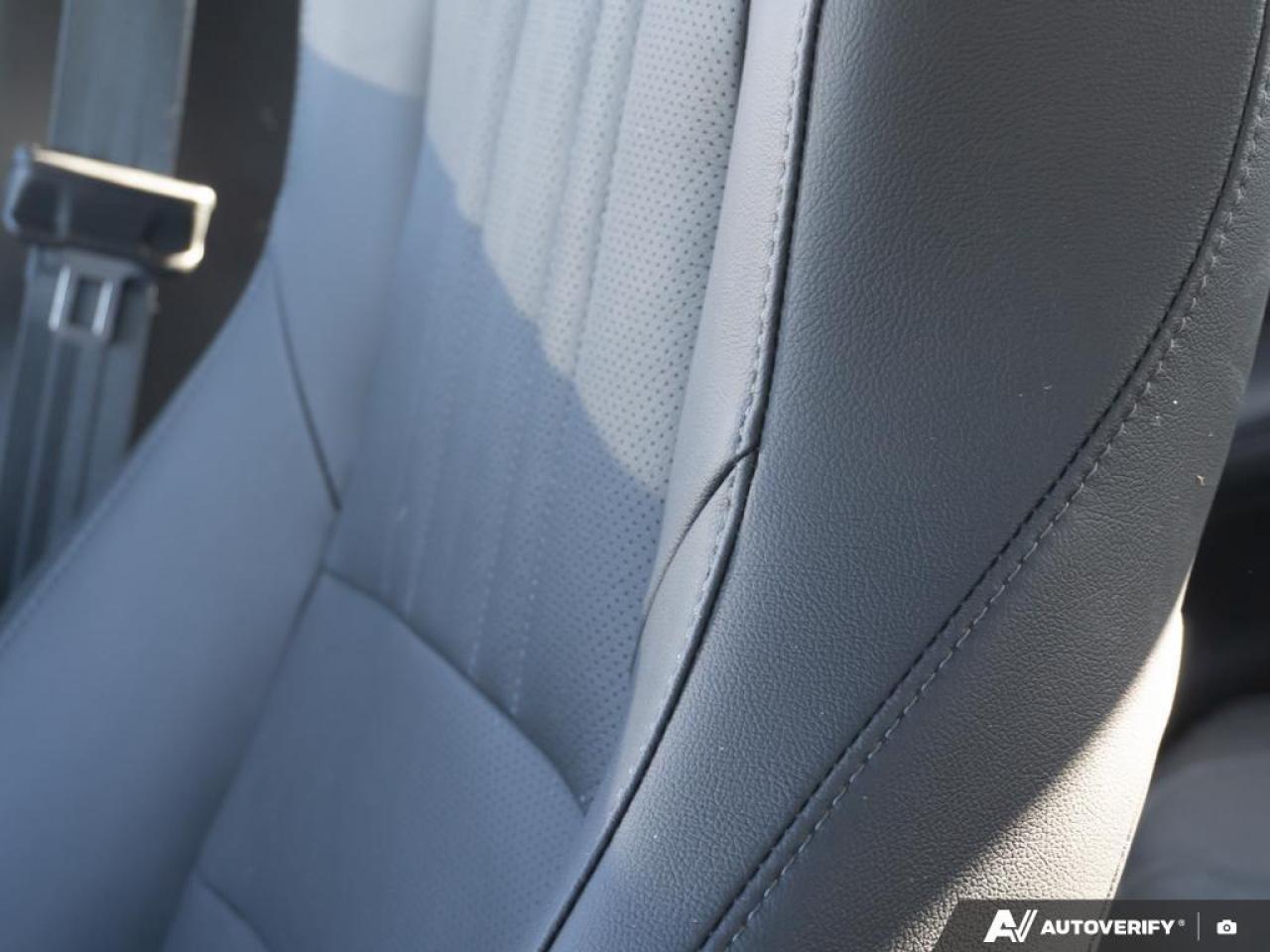 2021 Honda Accord SEDAN Photo