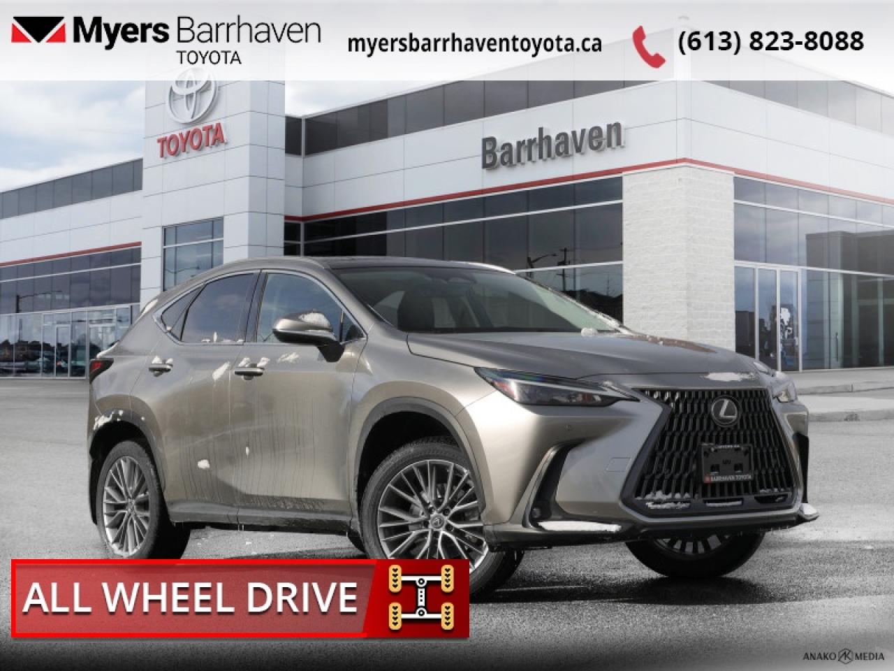2022 Lexus NX 350  - $313 B/W Photo0