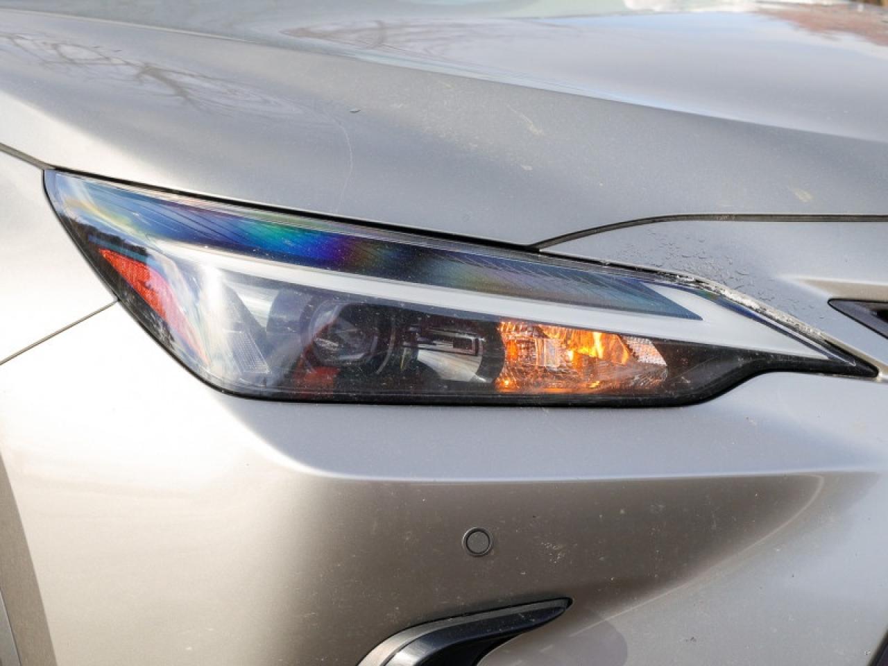 2022 Lexus NX 350  - $313 B/W Photo