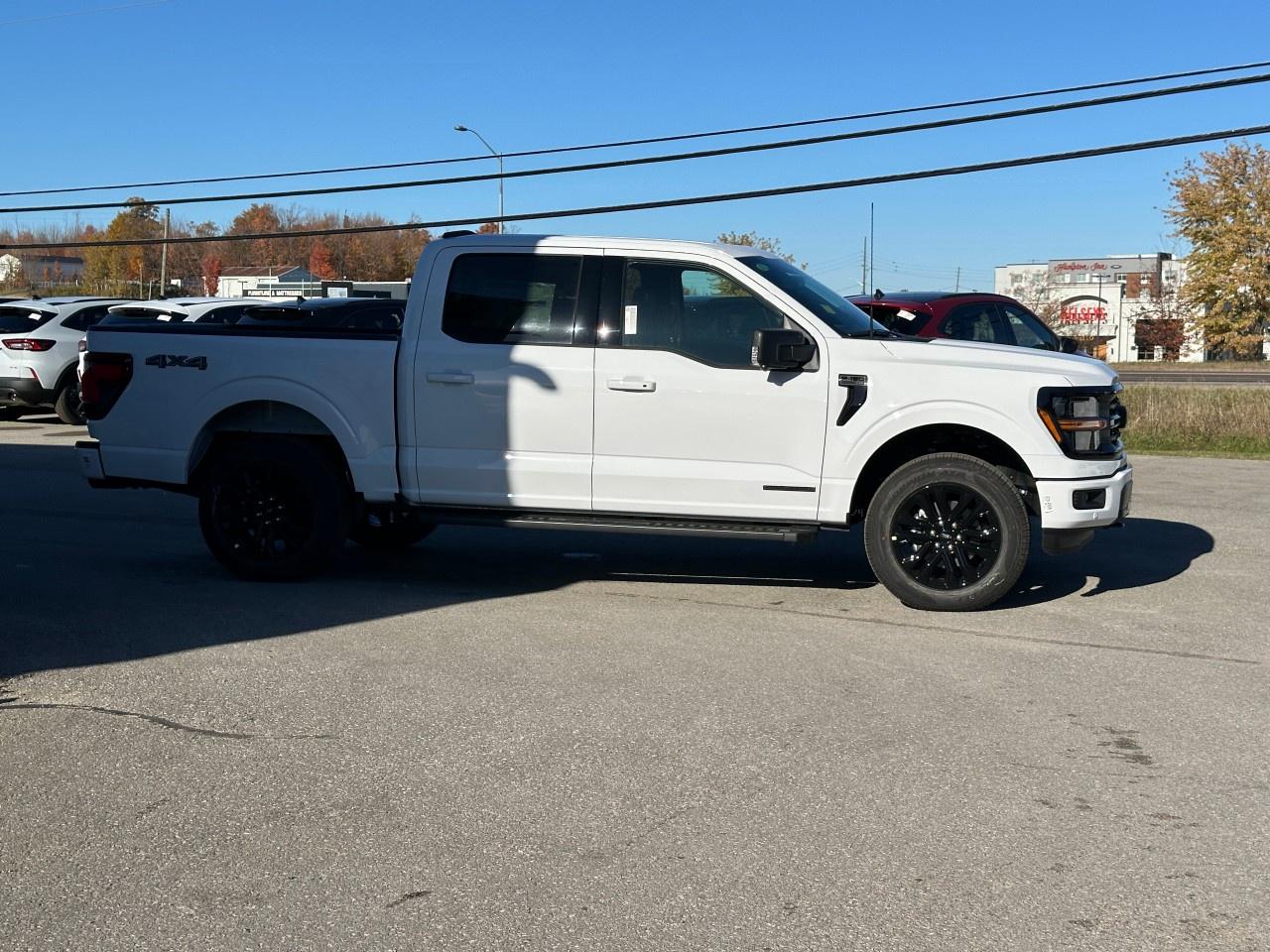 2025 Ford F-150 XLT 4WD SuperCrew 5.5' Box Photo