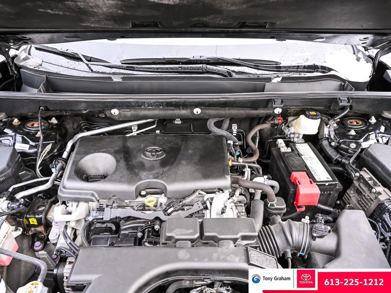 2020 Toyota RAV4 LE Photo