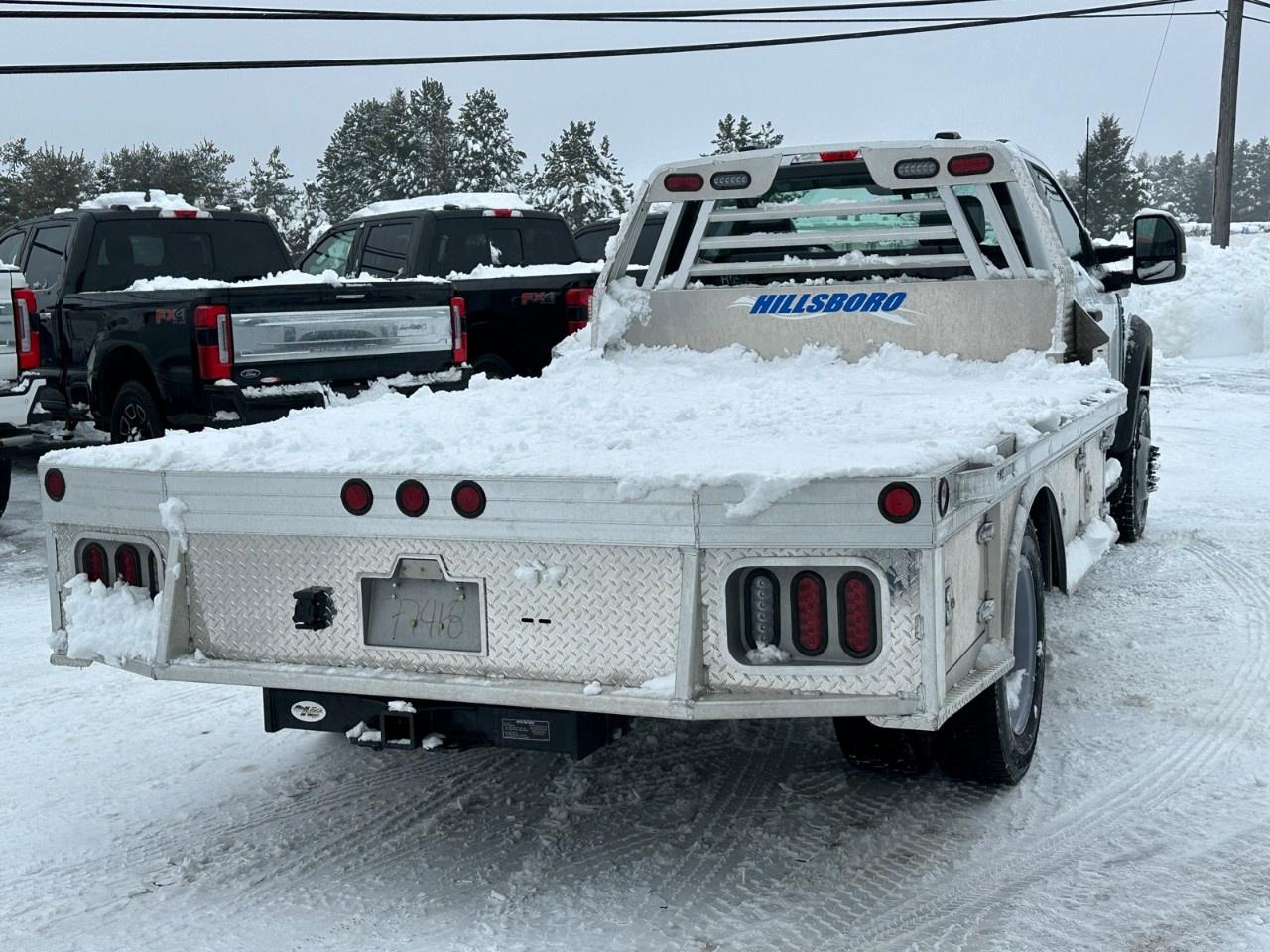 2025 Ford F-550 Super Duty DRW XL 4WD REG CAB 169" WB 84" CA Photo