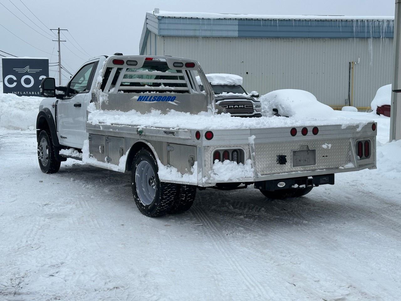 2025 Ford F-550 Super Duty DRW XL 4WD REG CAB 169" WB 84" CA Photo