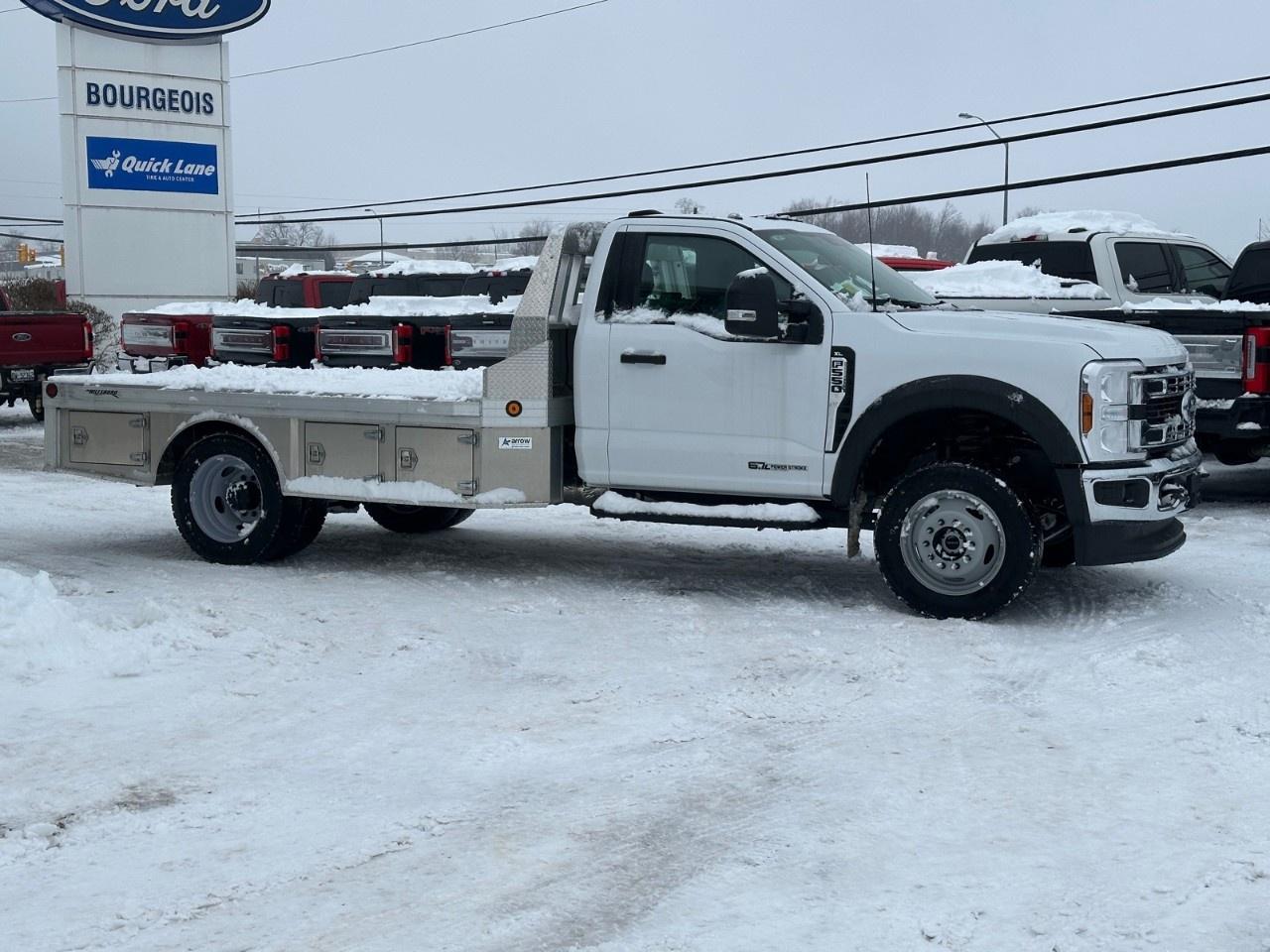 2025 Ford F-550 Super Duty DRW XL 4WD REG CAB 169" WB 84" CA Photo4