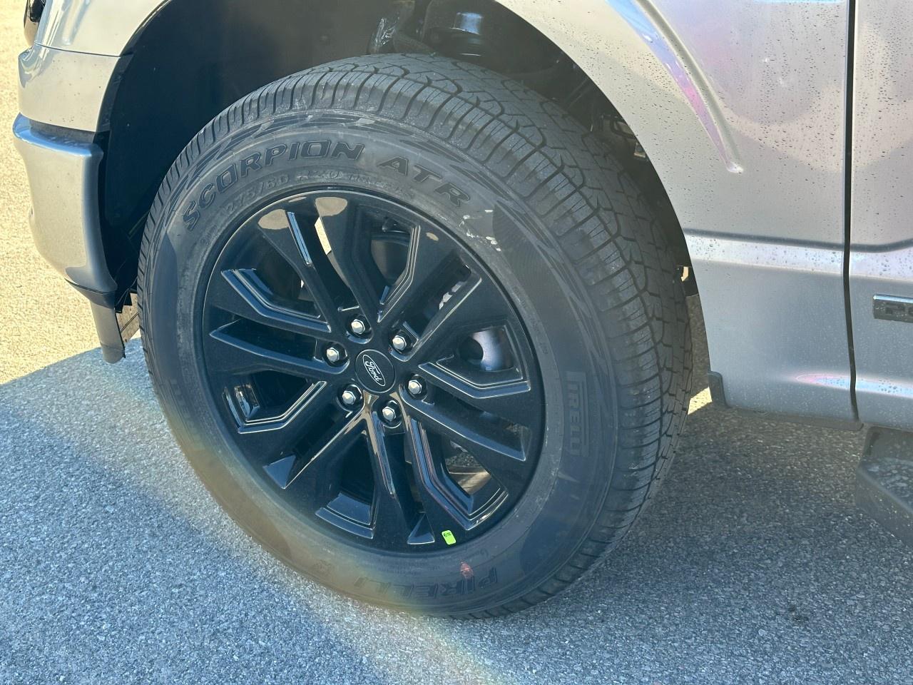 2025 Ford F-150 XLT 4WD SuperCrew 5.5' Box Photo