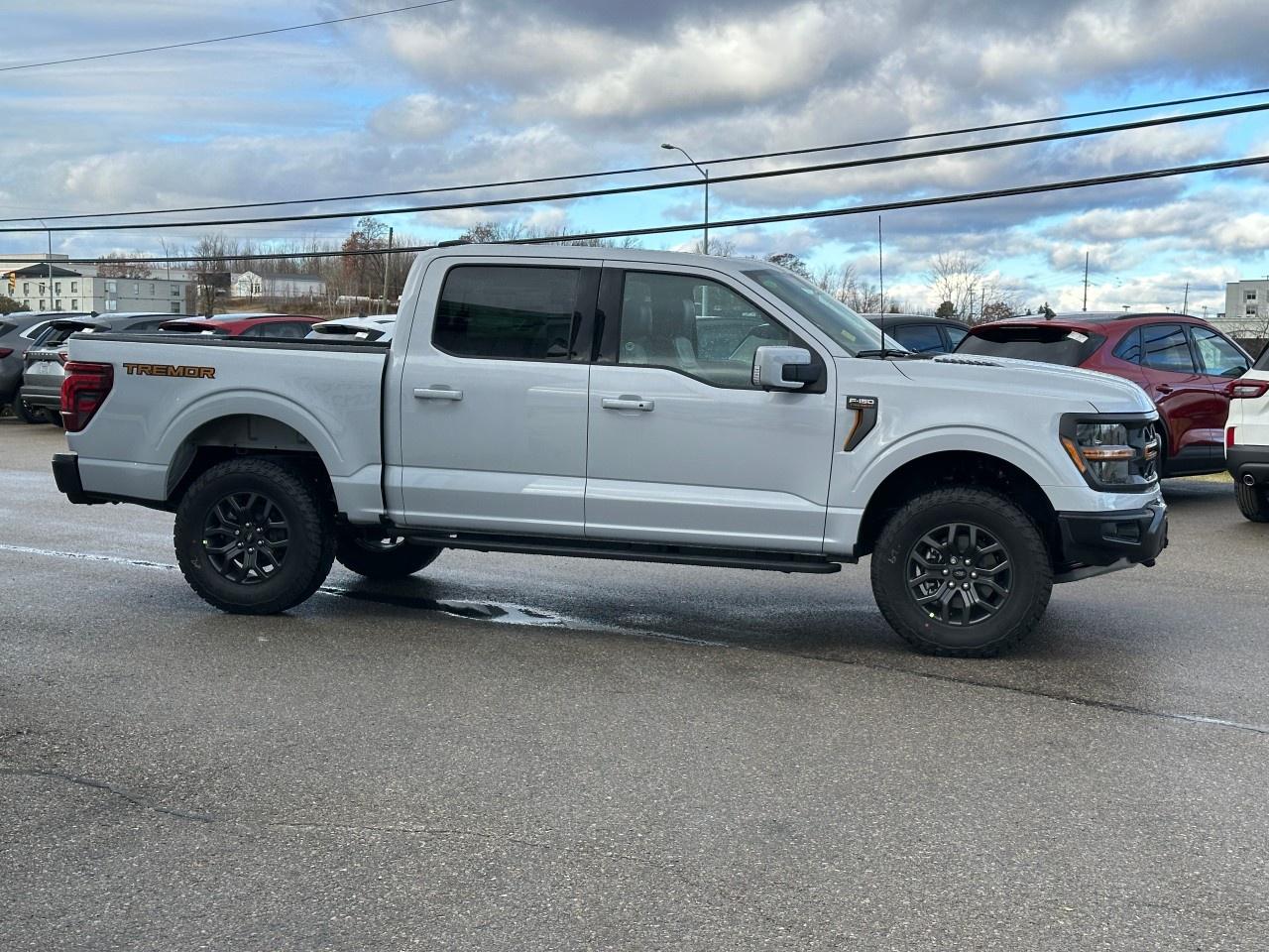 2025 Ford F-150 Tremor 4WD SuperCrew 5.5' Box Photo