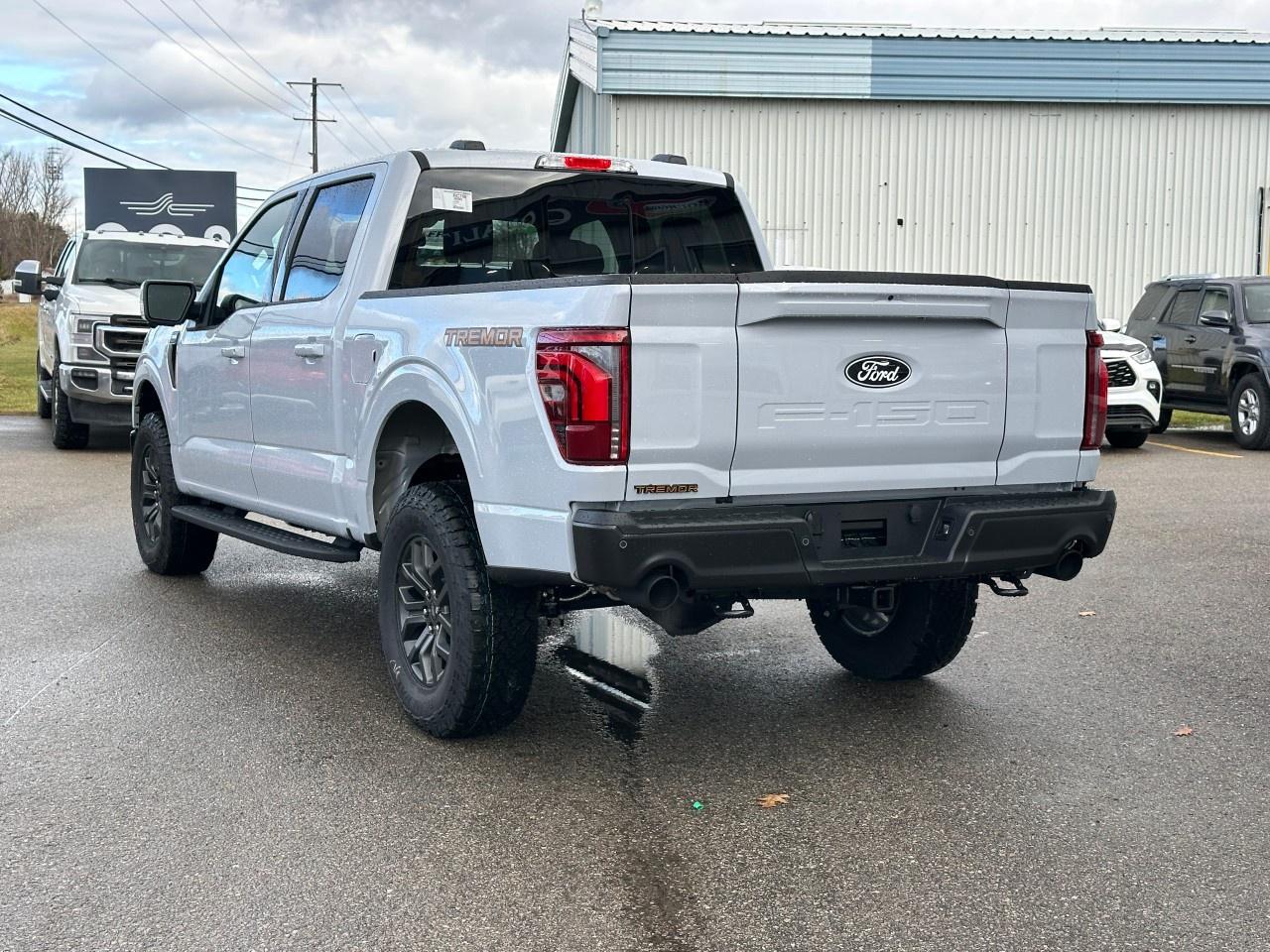 2025 Ford F-150 Tremor 4WD SuperCrew 5.5' Box Photo