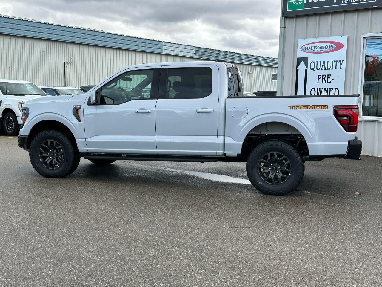 2025 Ford F-150 Tremor 4WD SuperCrew 5.5' Box Photo