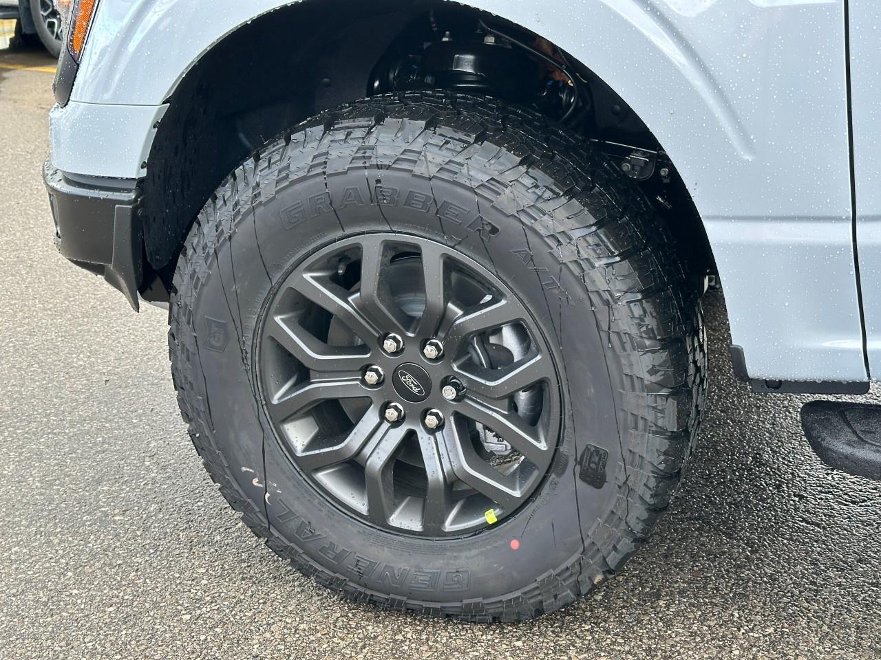 2025 Ford F-150 Tremor 4WD SuperCrew 5.5' Box Photo