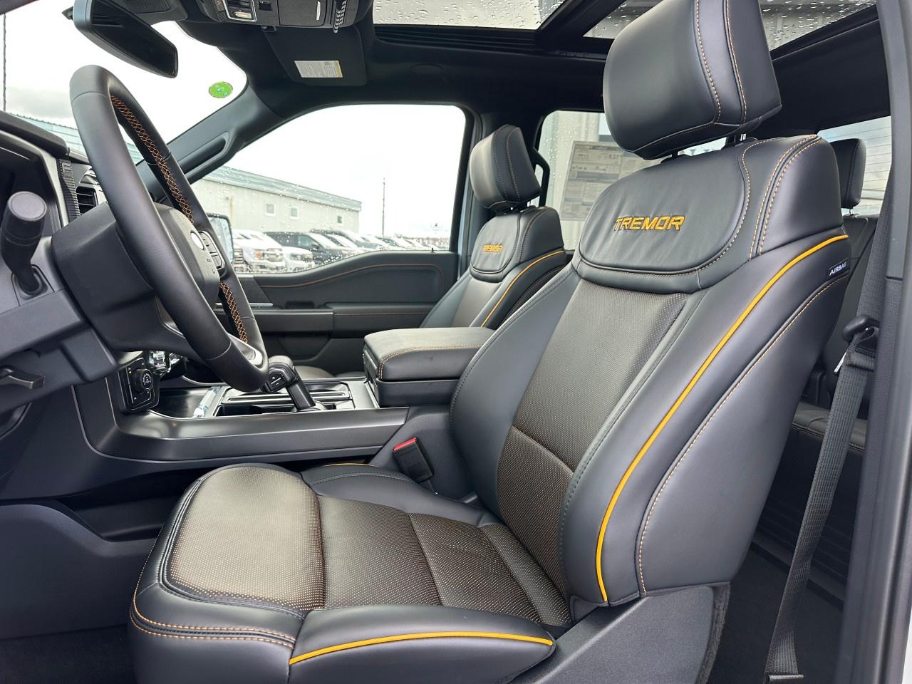 2025 Ford F-150 Tremor 4WD SuperCrew 5.5' Box Photo