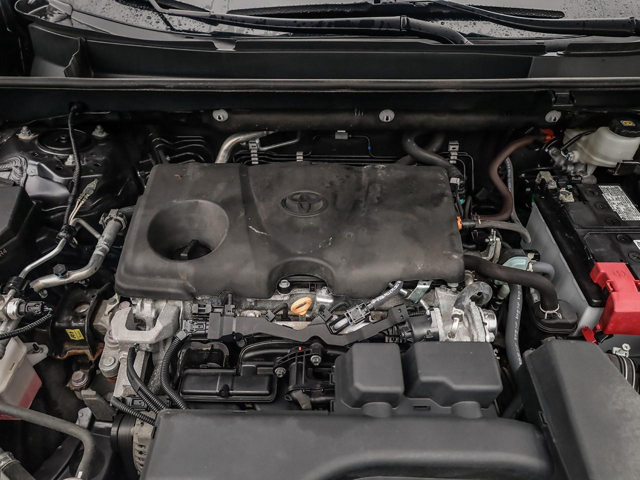 2024 Toyota RAV4 LE Photo4