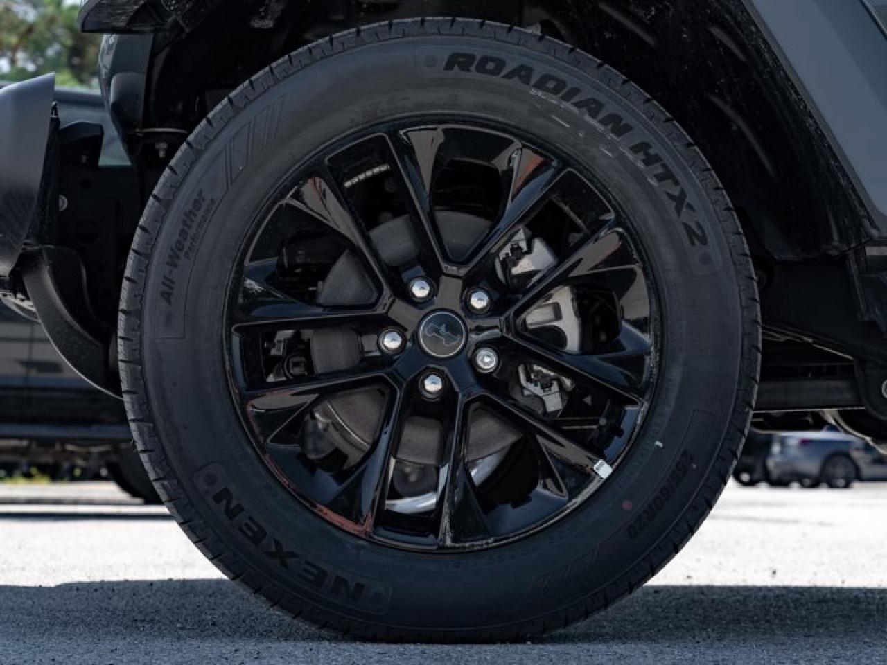 2024 Jeep Wrangler 4xe Sahara Photo