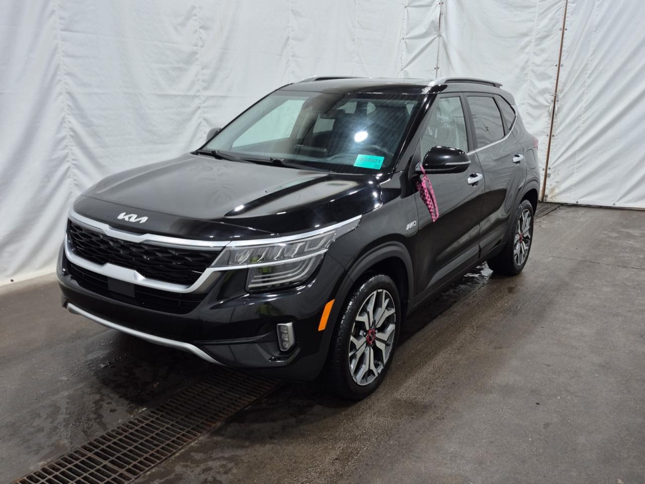 Used 2023 Kia Seltos SX TURBO AWD | NO ACCIDENTS | 10 SERVICE RECORDS for sale in Kitchener, ON