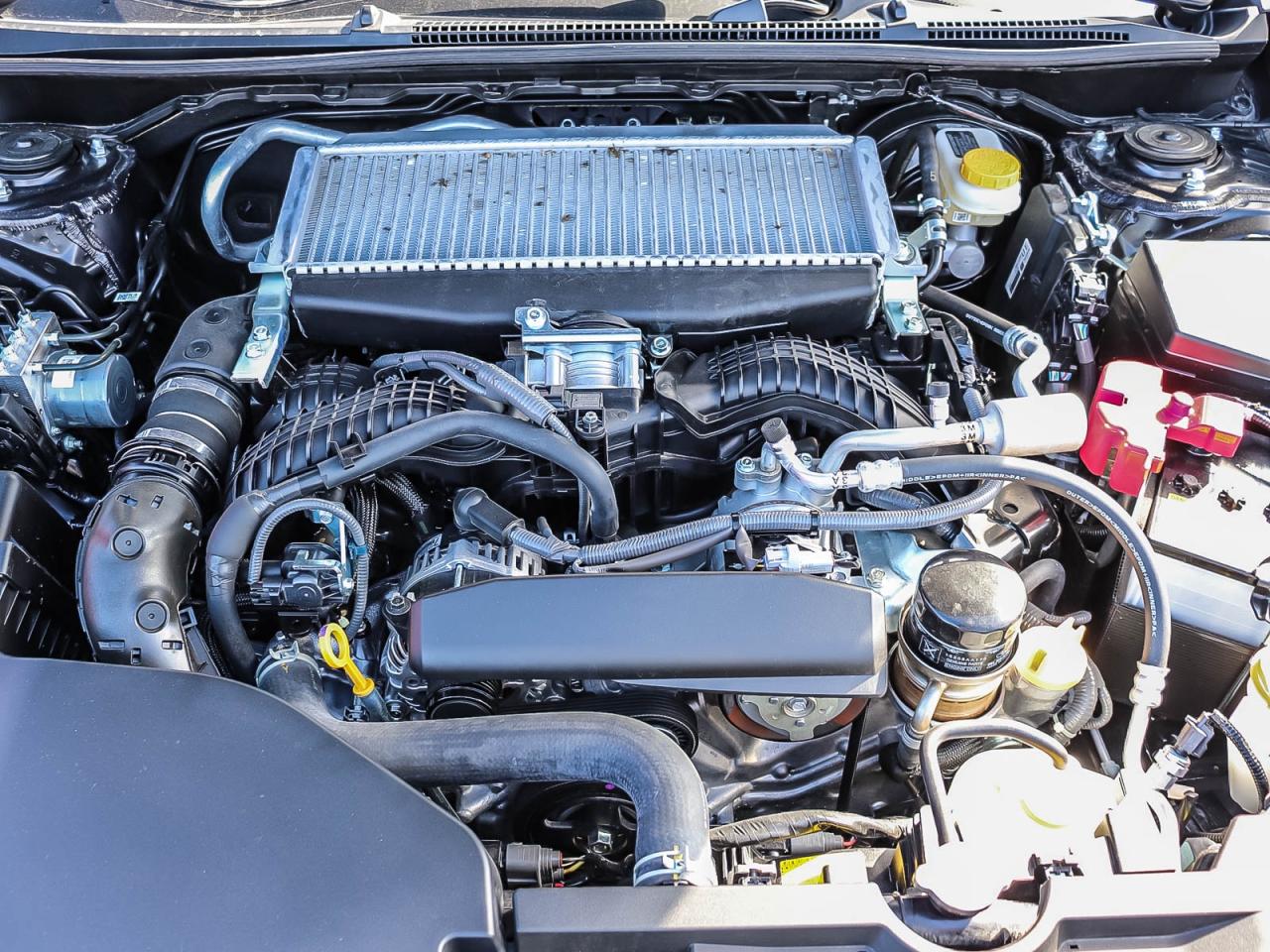 2025 Subaru WRX tS Photo