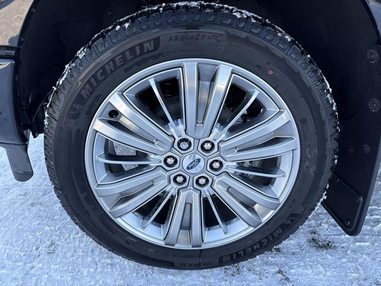 2025 Ford F-150 PLATINUM 5.5' Box 703A Photo2