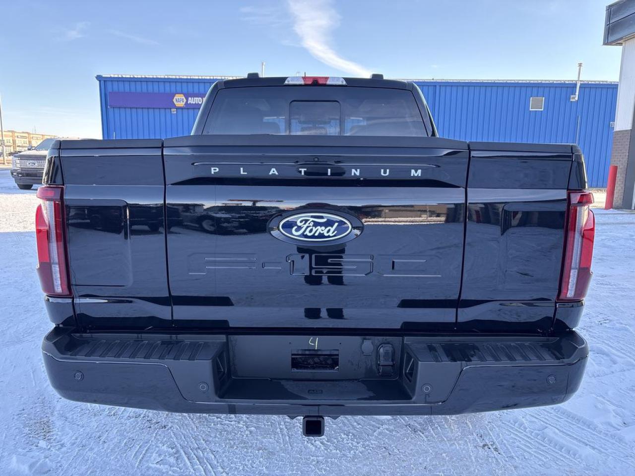 2025 Ford F-150 PLATINUM 5.5' Box 703A Photo5