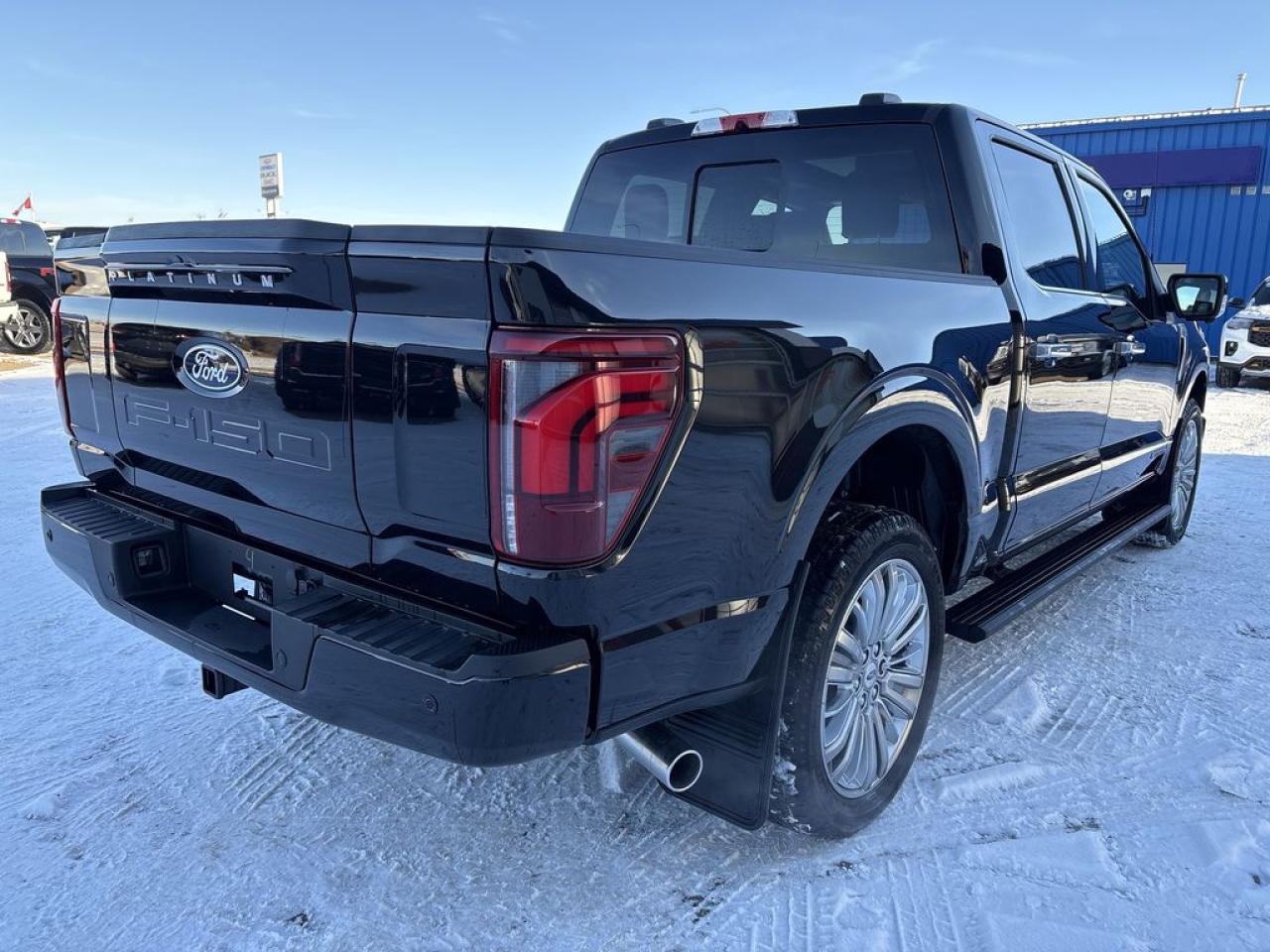 2025 Ford F-150 PLATINUM 5.5' Box 703A Photo5