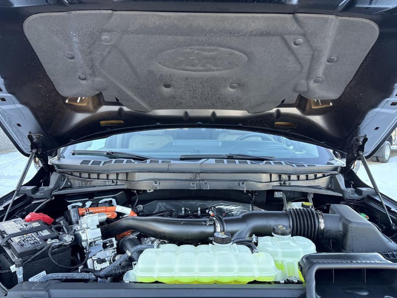 2025 Ford F-150 PLATINUM 5.5' Box 703A Photo5