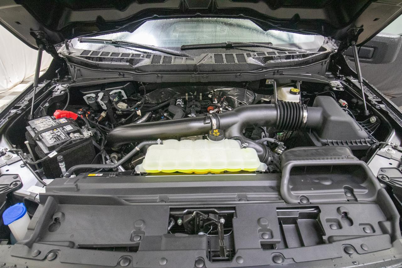 2025 Ford F-150 STX 4WD SuperCrew 5.5' Box Photo5