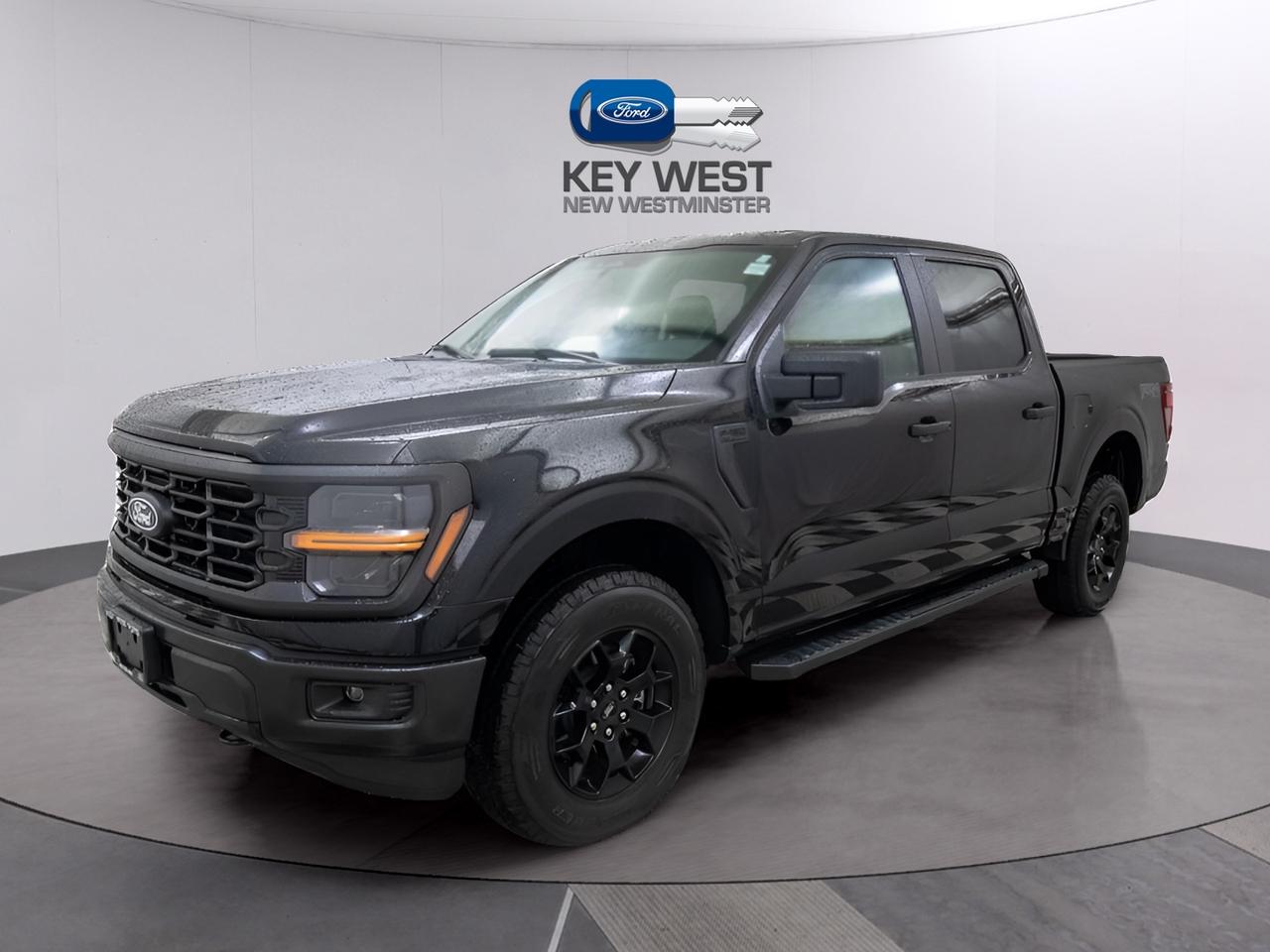 2025 Ford F-150 STX 4WD SuperCrew 5.5' Box Photo1