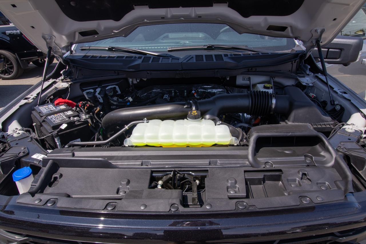 2025 Ford F-150 XLT 4WD SuperCrew 5.5' Box Photo5