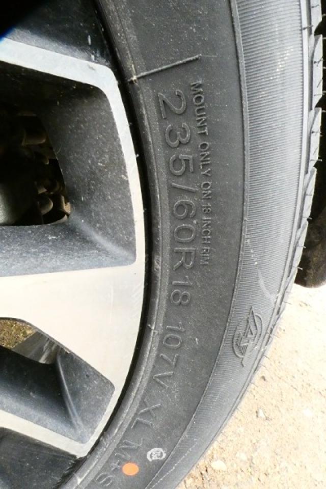 2024 Kia Sportage EX 4x w/Htd Leather, pano S/R, NAV, BUC - Photo #21