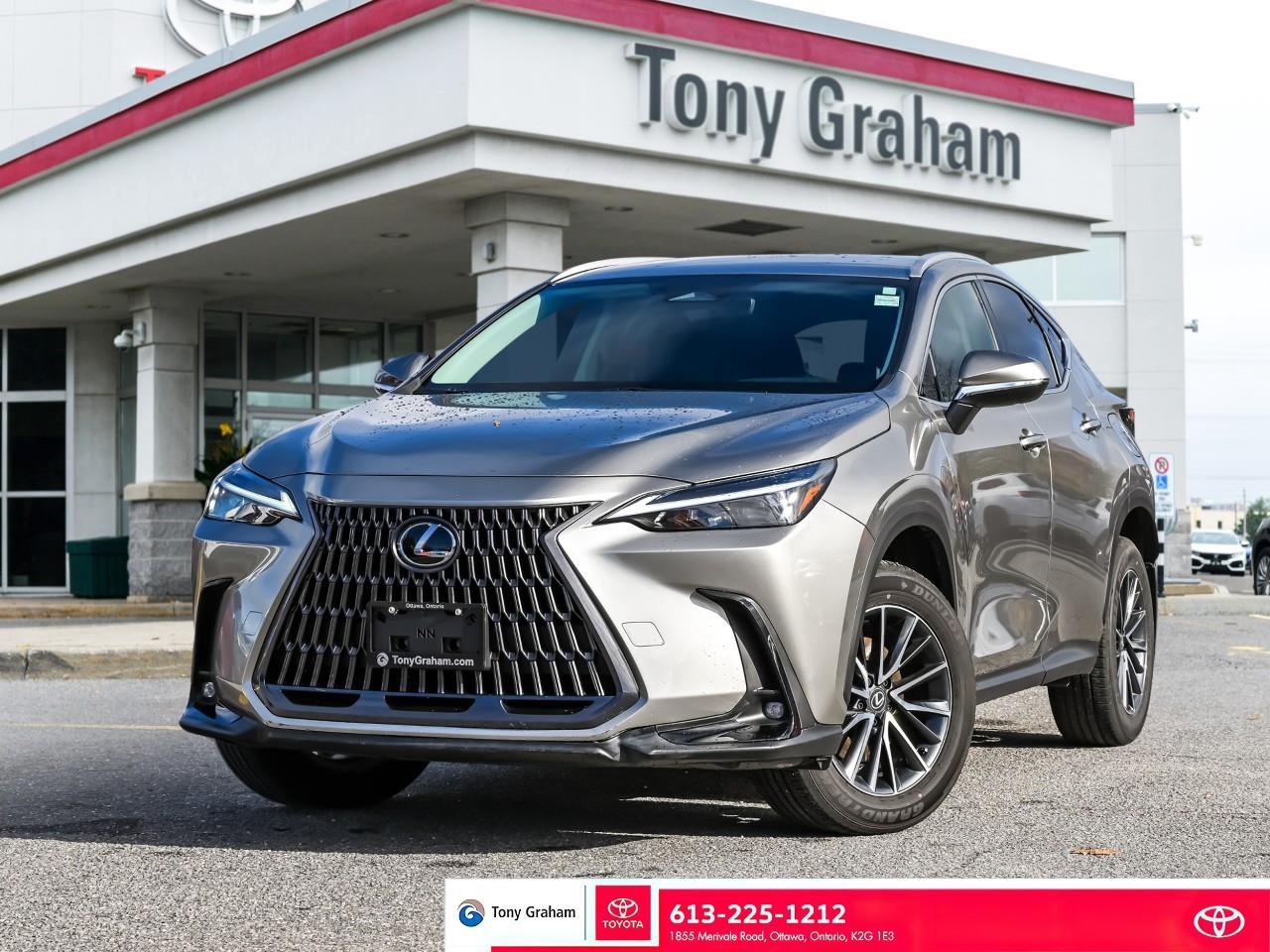 Used 2025 Lexus NX 250 for sale in Ottawa, ON