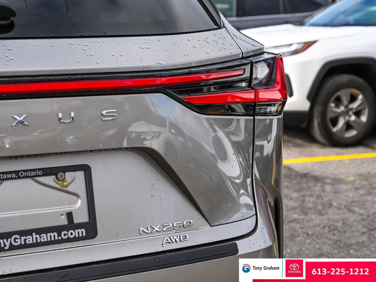 2022 Lexus NX 250 Photo4