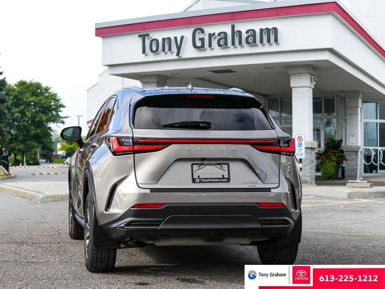 2022 Lexus NX 250 Photo2