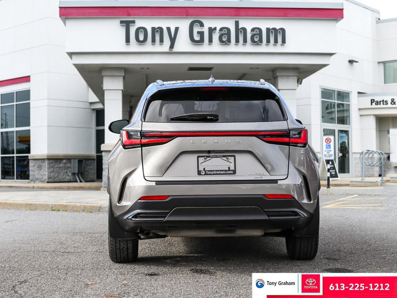 2022 Lexus NX 250 Photo