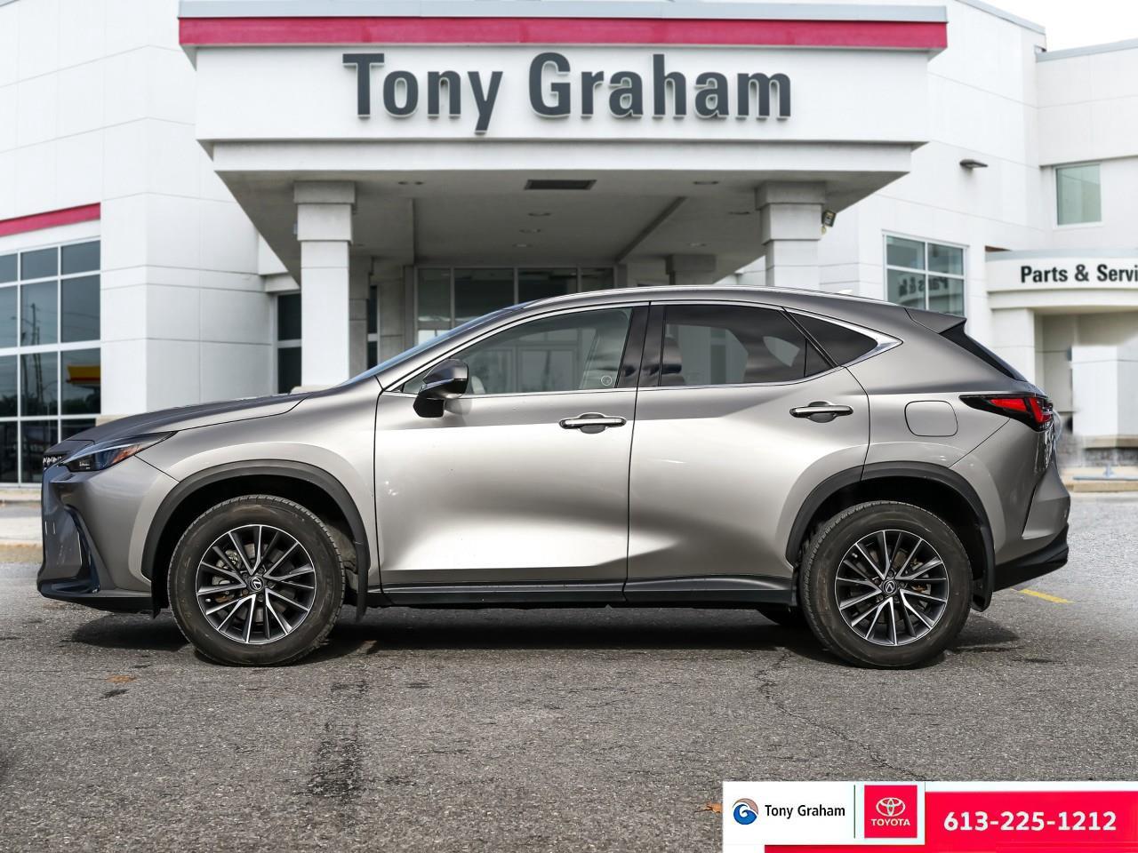 2022 Lexus NX 250 Photo