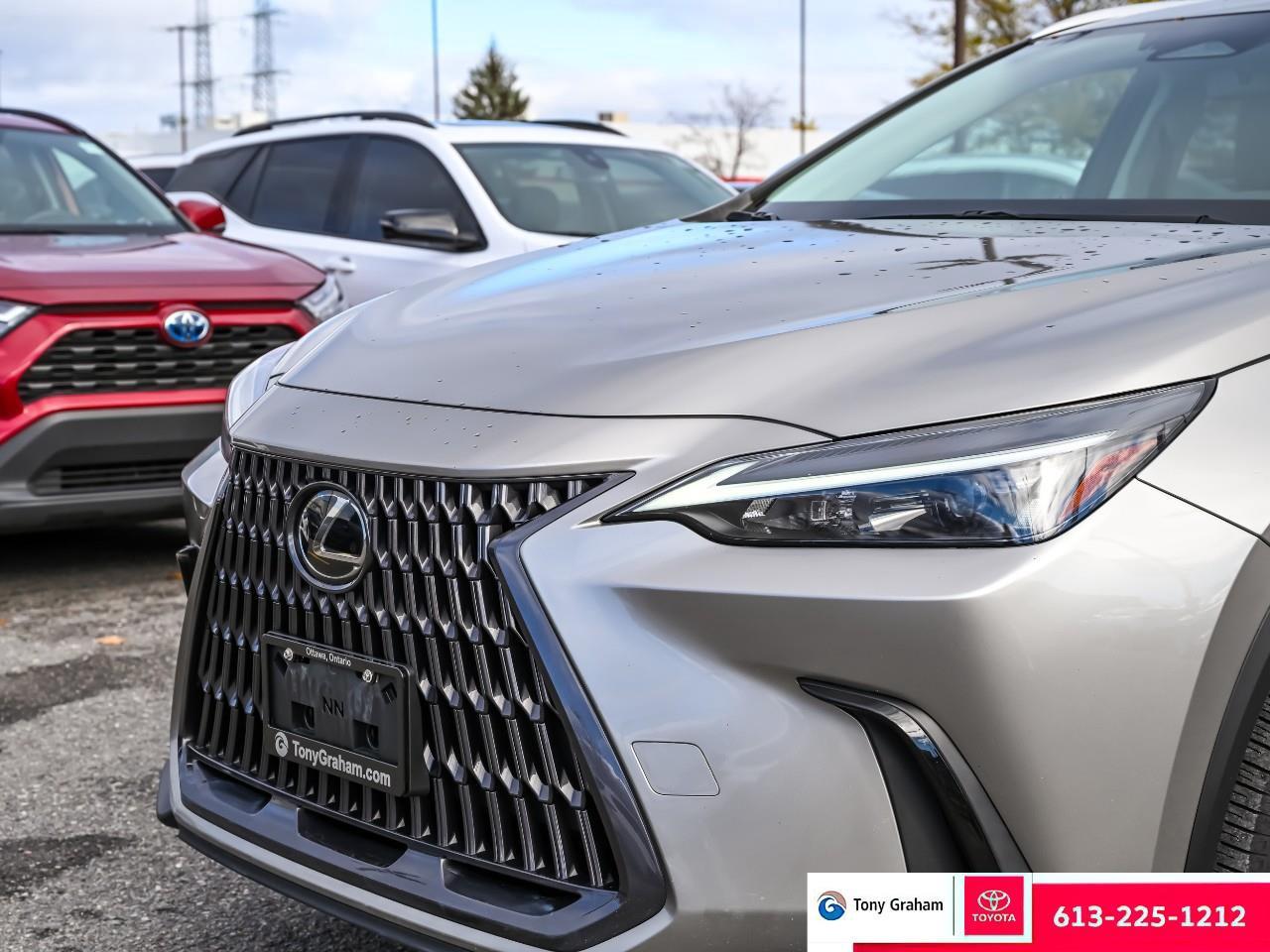 2022 Lexus NX 250 Photo