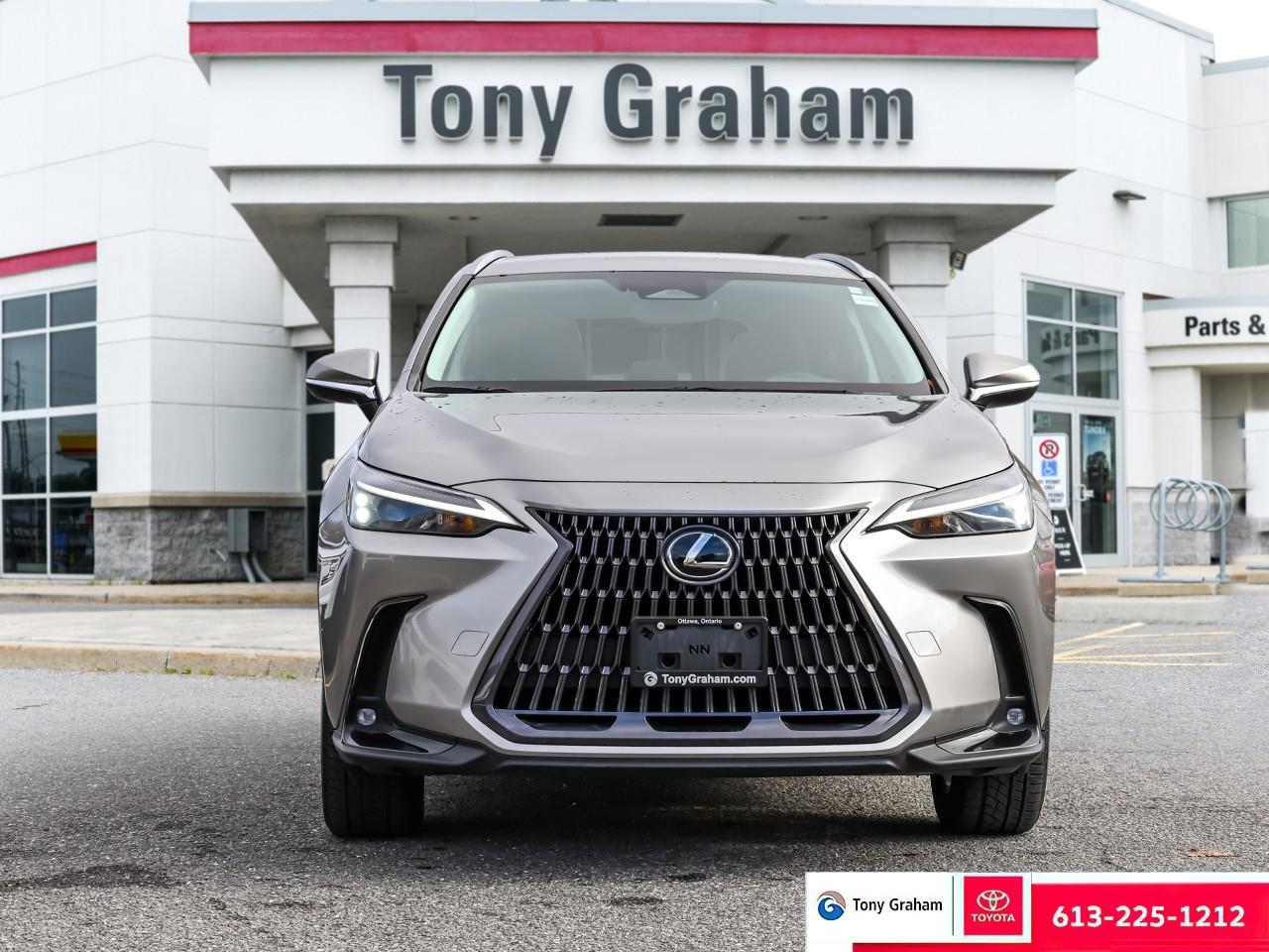 2022 Lexus NX 250 Photo